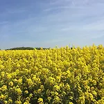 Apartamento Kolauerhof - Bauernhofurlaub In