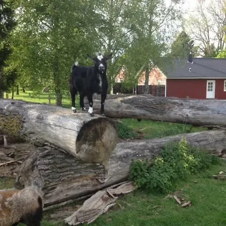 Apartment Kolauerhof - Bauernhofurlaub In *