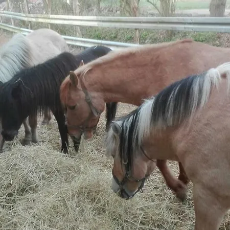 Kolauerhof - Bauernhofurlaub In Grömitz