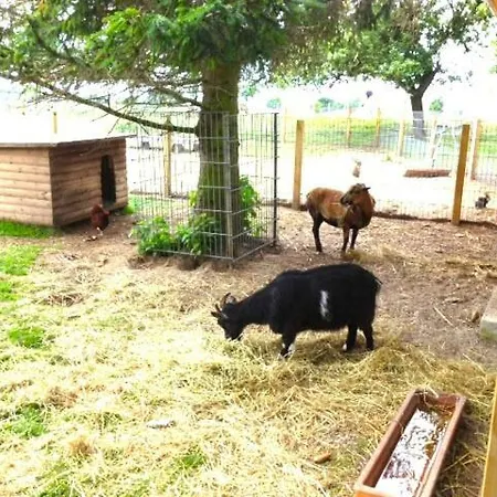 Apartment Kolauerhof - Bauernhofurlaub In *