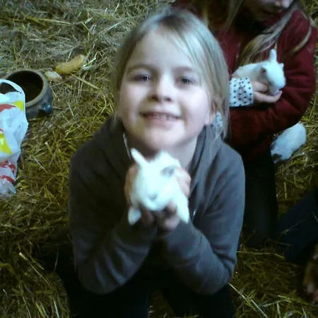 Apartment Kolauerhof - Bauernhofurlaub In *